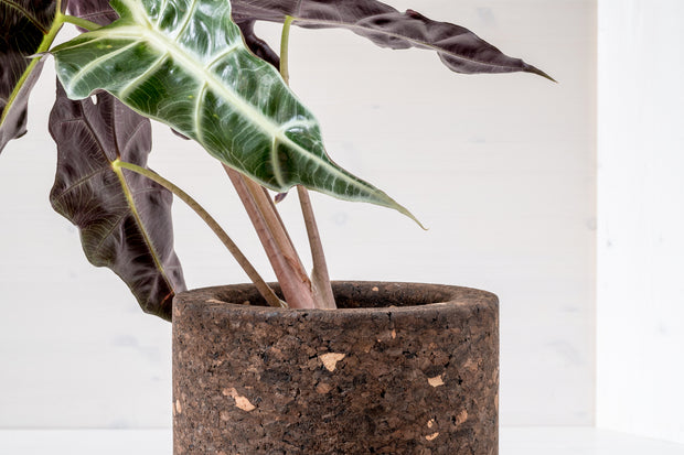 Studio Corkinho - Natural Design Cork Vase - Mother Cylinder High.